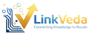 link veda, india top digital marketing company
